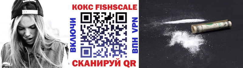 Cocaine Fish Scale kraken ССЫЛКА Бугульма дарнет шоп