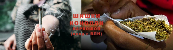 молекула духа Богданович