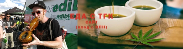 молекула духа Богданович