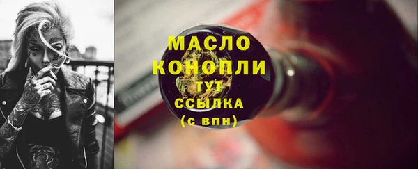 молекула духа Богданович