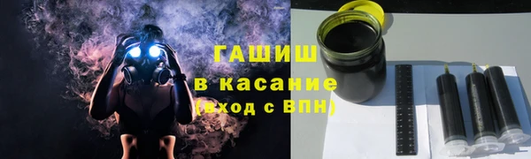 молекула духа Богданович