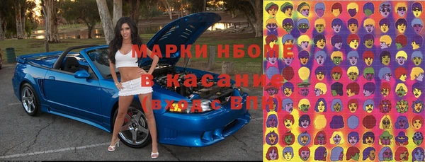 молекула духа Богданович