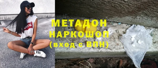 молекула духа Богданович