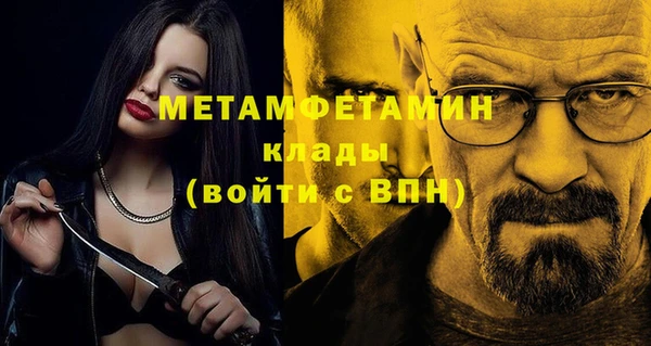молекула духа Богданович