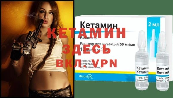 крисы Горняк
