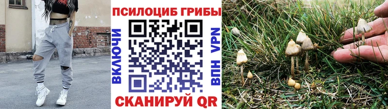 Псилоцибиновые грибы Magic Shrooms  blacksprut ссылка  Бугульма 