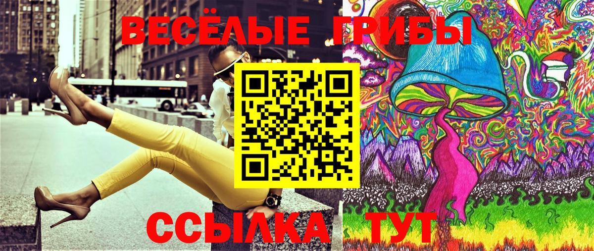 Бугульма  Галлюциногенные грибы Psilocybine cubensis  Вход с VPN 
